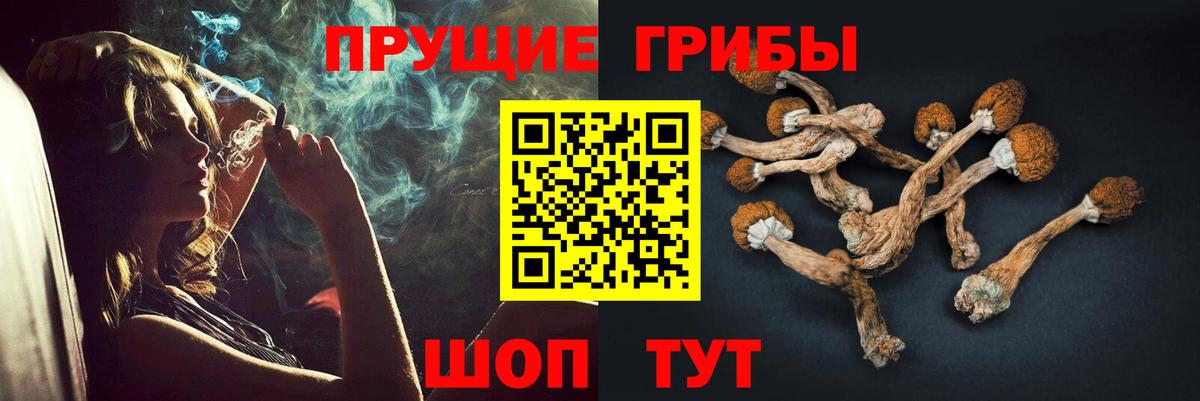 Галлюциногенные грибы Cubensis  Псилоцибиновые грибы мицелий  Менделеевск  Вход с VPN 